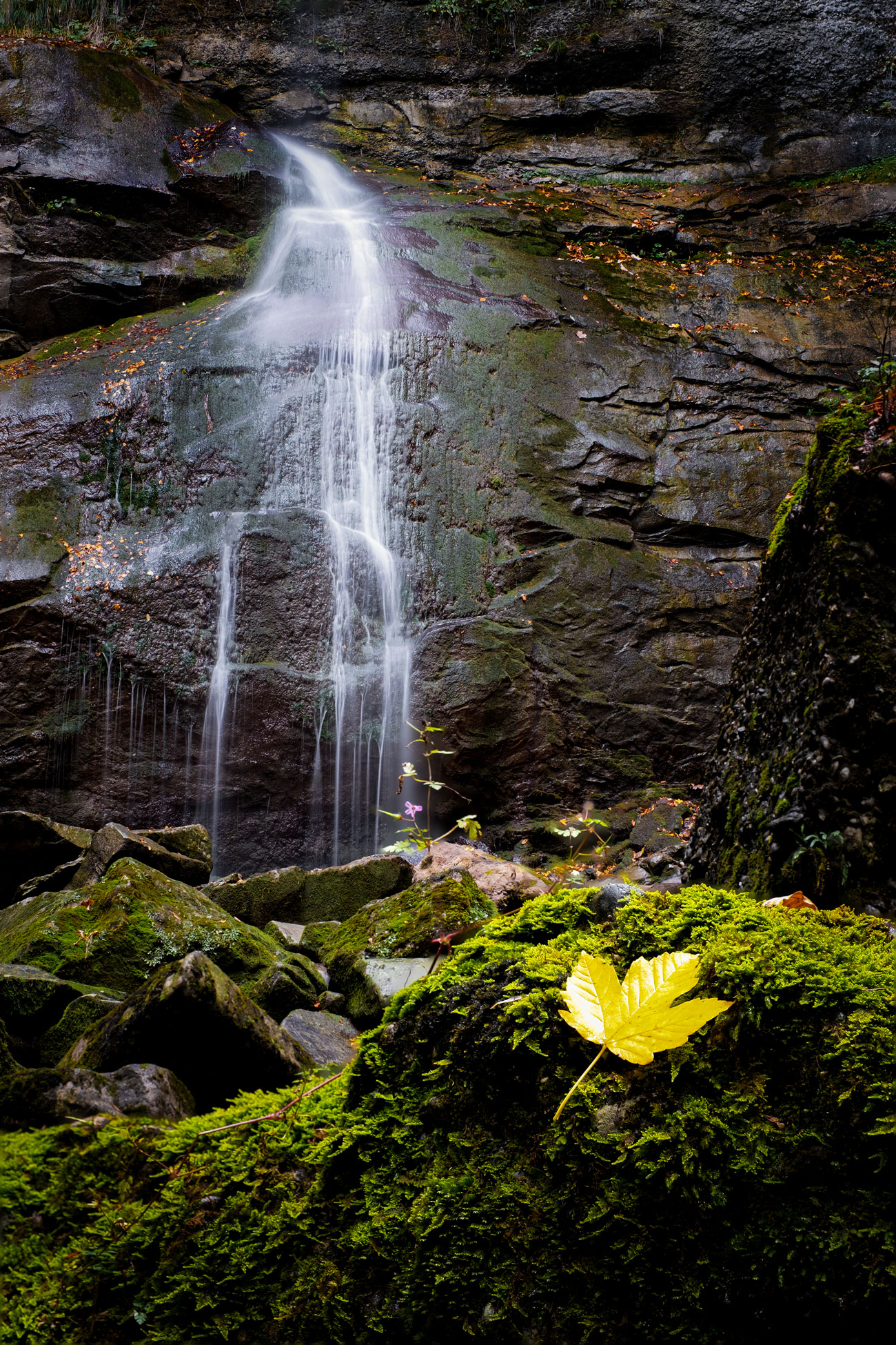 Herbstfotografie im Allgäu